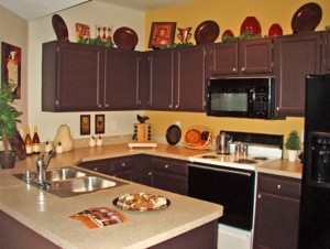 Waterford Court Apartments Kitchen