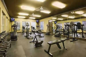 Camden Addison Apartments Fitness Center