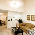 Wyndward Addison Apartment Living Area