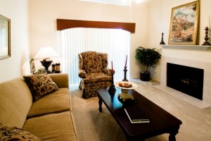 Wyndward Addison Apartment Living Area.
