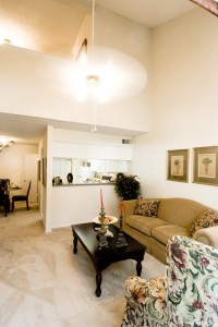 Wyndward Addison Apartment Living Area