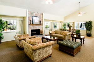 Wyndward Addison Apartment Living Room