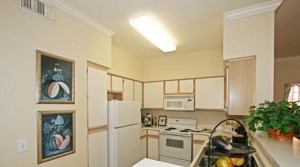 Camden Addison Apartments Kitchen