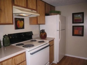 Bent Tree Park Apartment KItchen