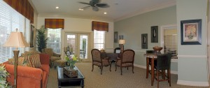 Courts of Bent Tree Apartment Living Room 1
