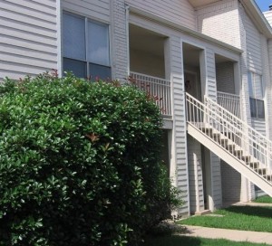 Garden Oaks Apartment View 3